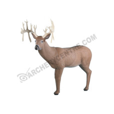 Rinehart 30 Point Buck